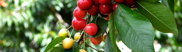 im钱包|imToken钱包官网|imToken钱包下载网址